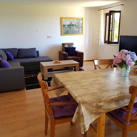 Apartment Monfiorenzo 11 Rovinj Extérieur photo